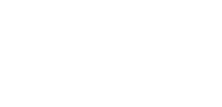Henry Handsome logo